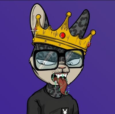 KingWhaleLife Profile Picture