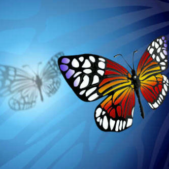 MsJLCMildmay's profile picture. Butterfly chaser