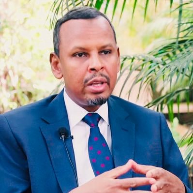 Researcher & Somalia Analyst. Co-founder & former director  @HIPSINSTITUTE. Ex-communications director @TheVillaSomalia; Ex. @CrisisGroup, ex cabinet minister