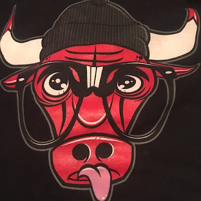 chicago bulls logo nerd