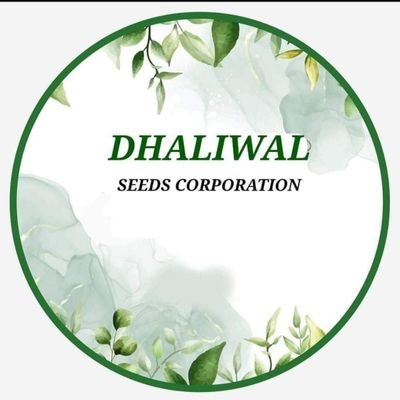 Dhaliwal seed corporations