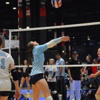 Sophia Nowacki (@sophianowacki4) 's Twitter Profile