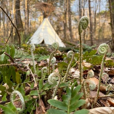 BaldEagleTrail's profile picture. Welcome to our primitive, rustic, tipi glamping and nature immersion retreat!