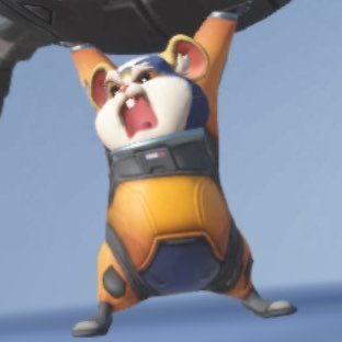 kt199119's profile picture. 