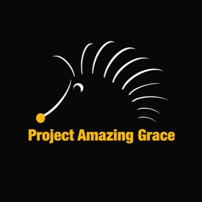 Project Amazing Grace