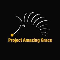 Project Amazing Grace(@HedgehogGrace) 's Twitter Profile Photo