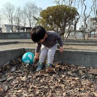 歯の妖精さん🧚 (@china_san3) Twitter profile photo