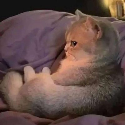 luvmikin's profile picture. no more modelling for me 😢