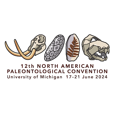 17-21 June 2024
#napc2024
The official Twitter/X account for the 12th North American Paleontological Convention.