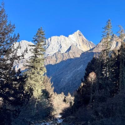 Wubba_137Rick's profile picture. 🈚️