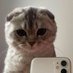 Rooooo (@userpelotuda) Twitter profile photo Rooooo (@userpelotuda) Twitter profile photo