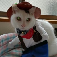 mii.heart3. (@nyui8mii8) Twitter profile photo