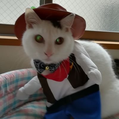 ♡mii♡ページ マスコット】うっせぇわちゃん Mii - Mii Direct