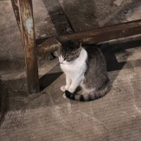 JSec (@jsec_) 's Twitter Profile Photo JSec (@jsec_) 's Twitter Profile Photo