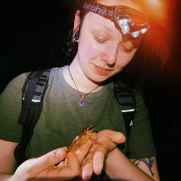 Shannon 🏳️‍🌈 🦎 (@shandoesscience) Twitter profile photo