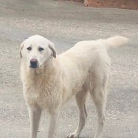 Ali_6 🇹🇷 (@alimm__6) 's Twitter Profile