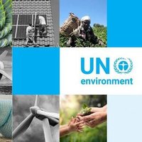 MAYOR OF HUMAN RIGHTS (@abid11238504) 's Twitter Profile