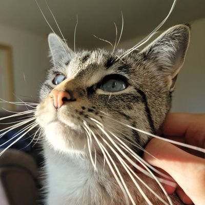 Polarture's profile picture. ❤️‍🔥 DSK Fiend 🗡  ❤️‍🔥 Pxnk 🤟 

The weather is cold, stay warm and make some meaningful connections in this space 

(Also #AllDayDSK 🌧🗡)