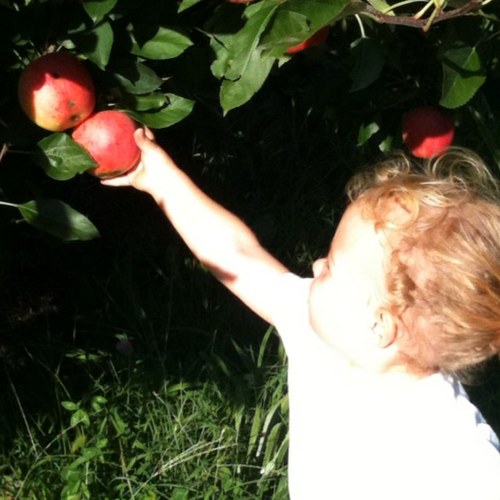 maillard_rx's profile picture. Foodie/healthcare by day, father and husband by night. food science devotee. sucker for the siren song of the woods/trail/paddle.