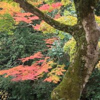 lyjimenez (hiatus to focus on draft 2) (@lyjimenez_) 's Twitter Profile