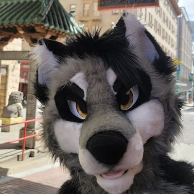 aka Klondike | 27 | I🧡 my Stoat | 
Send me your memes | 🔞18+ horny on main |

🐺:@kloofsuits