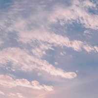 H (@lovewife1225) 's Twitter Profile