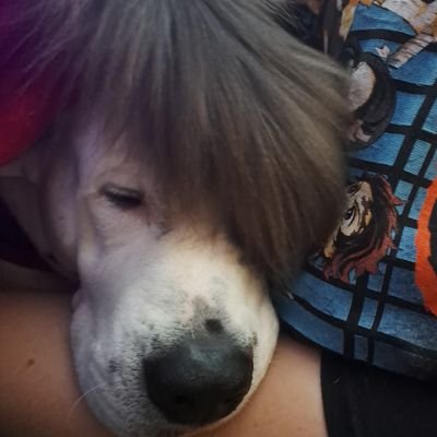 FumbleDumble1's profile picture. Just a clump of cells forming together to create organs, sitting on a giant rock floating through space.