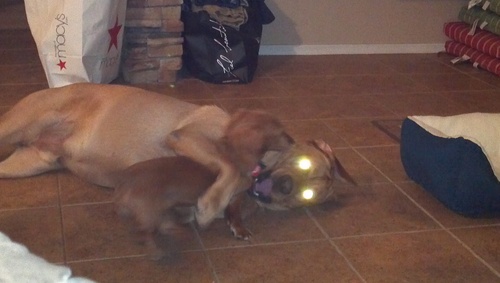 HaBobby's profile picture. 