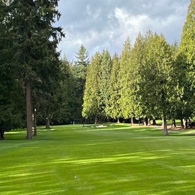 andyrench's profile picture. 