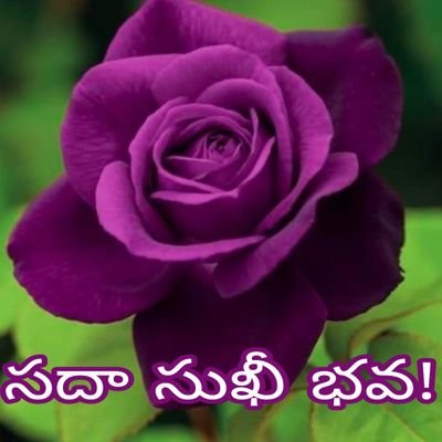 Sumathi53937919's profile picture. Om Shanti