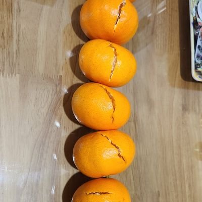 LDH9501's profile picture. 