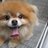 Harley3287's profile image