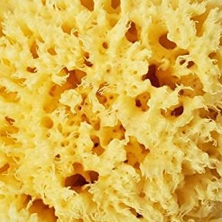 wochingin's profile picture. おちんぎんと申します。私の持ってるどのアカウントでも呟かれなかったツイートがここに来ます