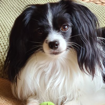 UniqueSharonD's profile picture. ..please, no DM's.