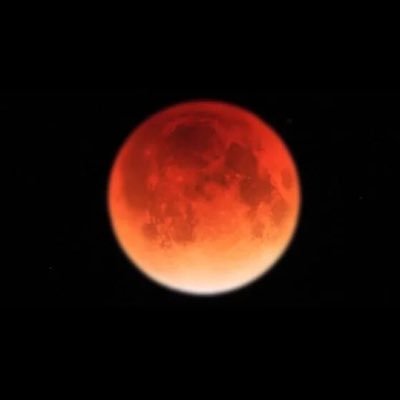 switchDX09's profile picture. 