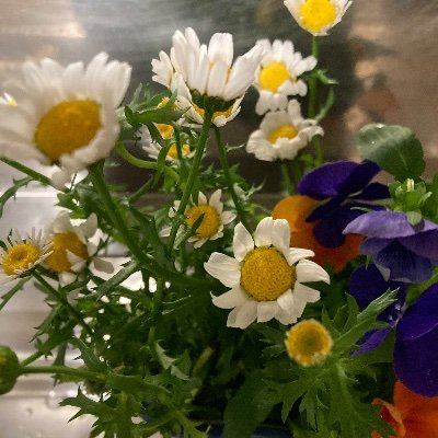 イエスは食事の席を立って、上着を脱ぎ、手ぬぐいを取って身に着けられた。それから、たらいに水をくんで、弟子たちの足を洗っては、身に着けていた布で拭き始められた。ヨハネ13:4〜5 主の平和と平安とお恵み病気の癒し、あなたのお幸せを祈っています。
神がなさるのでなければ私に何ができましょう。主よ助けてください。
