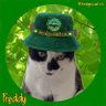FreddyKitty's profile picture. Freddy shares amazing stories about feline adventures. Author of  "Freddy's Magic Garden - Incredible Cat Stories" famed far and paw-wide. 🐾📚💕