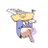 prof_img