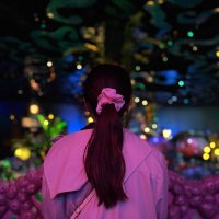 みしかD垢 (@disneymariemi) Twitter profile photo