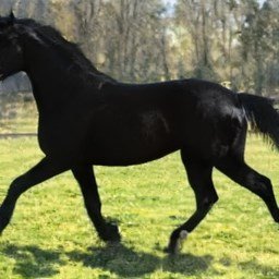 ErinBrown664815's profile picture. 