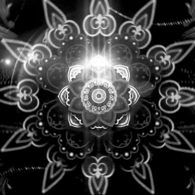 anoommmmmotion's profile picture. motion designer