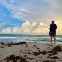 Mark Brodwater (@brodwatermark) 's Twitter Profile