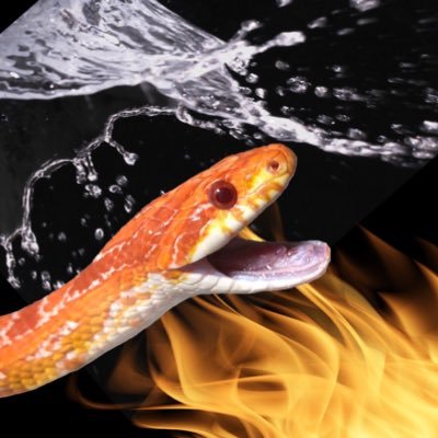 🐍寮の環貴🌊🤝🔥さんのプロフィール画像