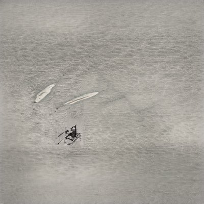 AlyssaC36210421's profile picture. 