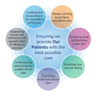 A Nursing and Midwifery Shared Governance Council that discusses all aspects of patient safety and quality of care for our patients at BTHFT