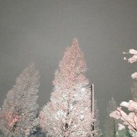 石川小傘 ☔✧.* ˚ * · ˚ ✧ *note4/10更新🌨️ (@enagashima4) 's Twitter Profile Photo 石川小傘 ☔✧.* ˚ * · ˚ ✧ *note4/10更新🌨️ (@enagashima4) 's Twitter Profile Photo