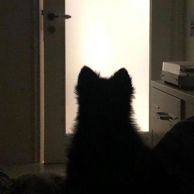 sekaiioct's profile picture. aca character's in another world