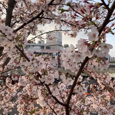 ｱｻﾘさんのプロフィール画像