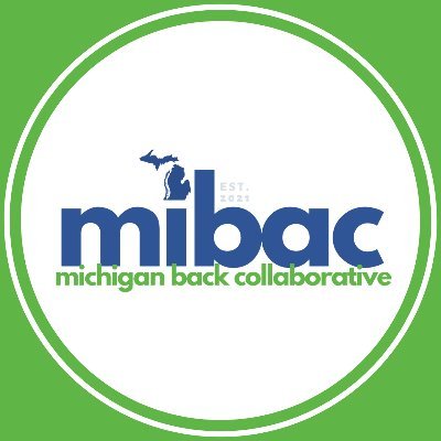 More effective care patterns, better outcomes for patients, and greater satisfaction for clinicians and patients with acute low back pain in the state of MI