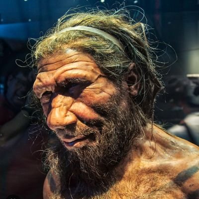 Replicantsunite's profile picture. Former world record holder of youngest human alive.  Runner-up household pull-up competition.